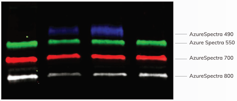 1597657980134211.png image002.png