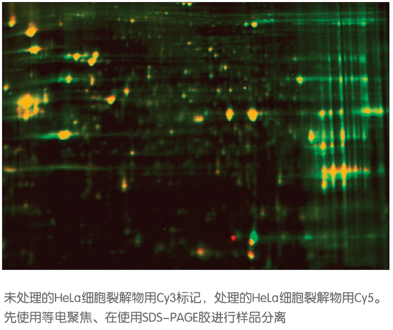 1597657998521674.png image003.png