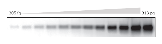 1597658041346233.png image005.png