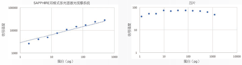 1597658059121069.png image006.png