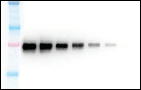 1597658074488238.png image007.png