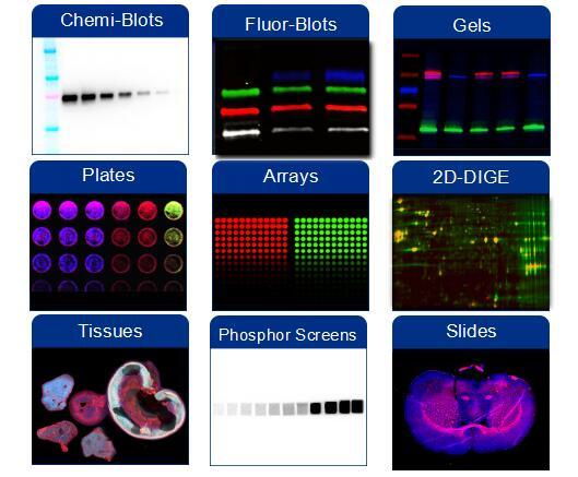 1597658100117235.jpg image009.jpg